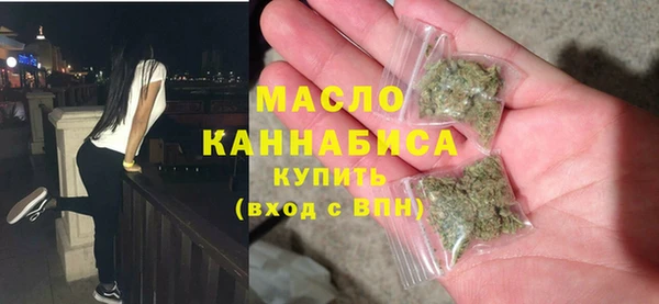 тгк Инсар