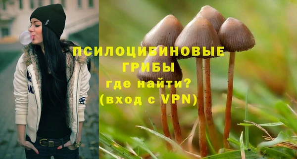 стаф Алзамай
